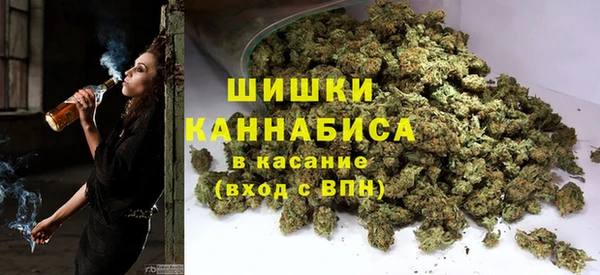 альфа пвп Медногорск