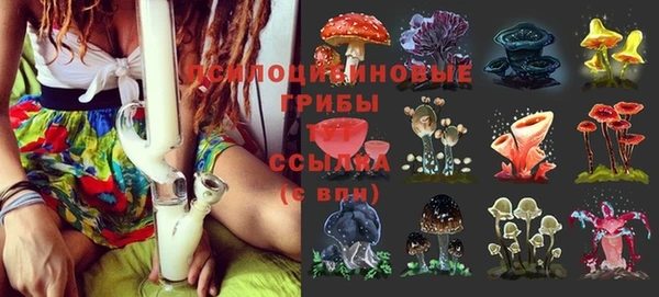 марки nbome Абаза