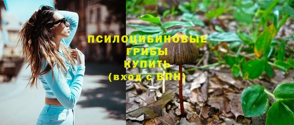 хмурый Абинск